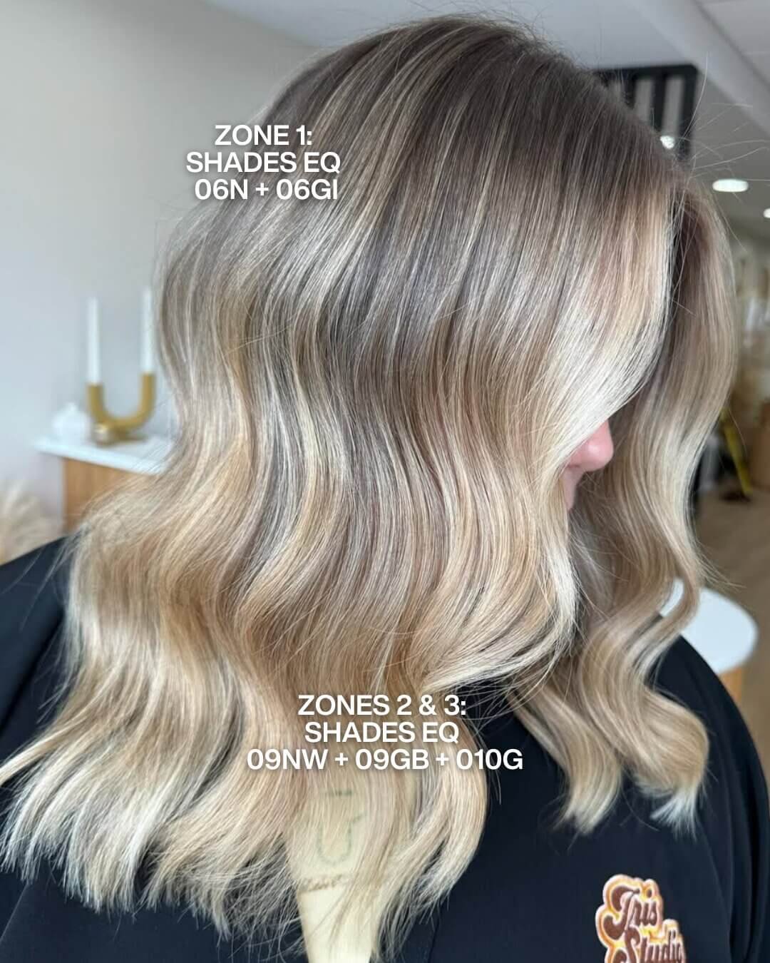Redken Recipe 79 Irisstudiopgh With Formula