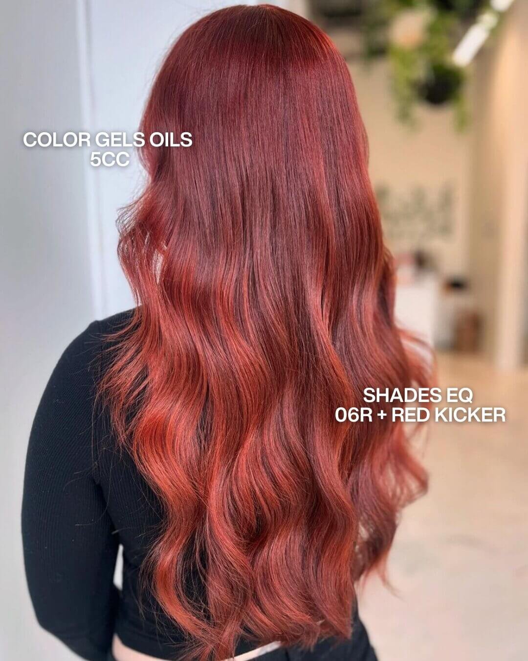 Redken Recipe 157 Camilleredkencolorist With Formula