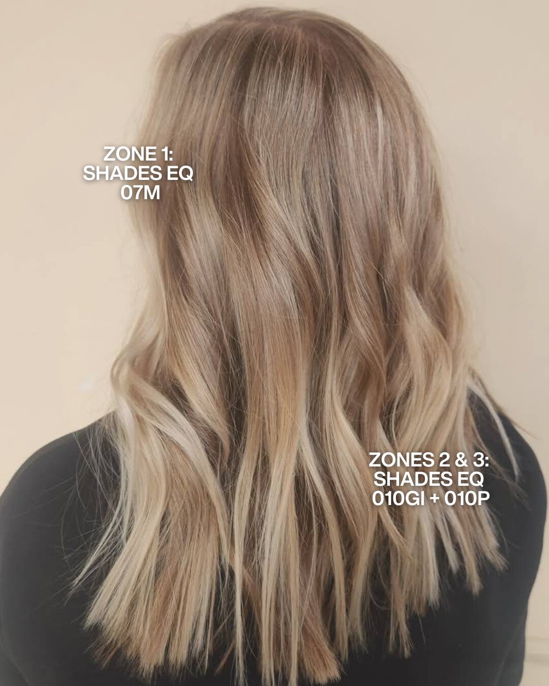 Redken Recipe 105 Reneedeonna With Formula