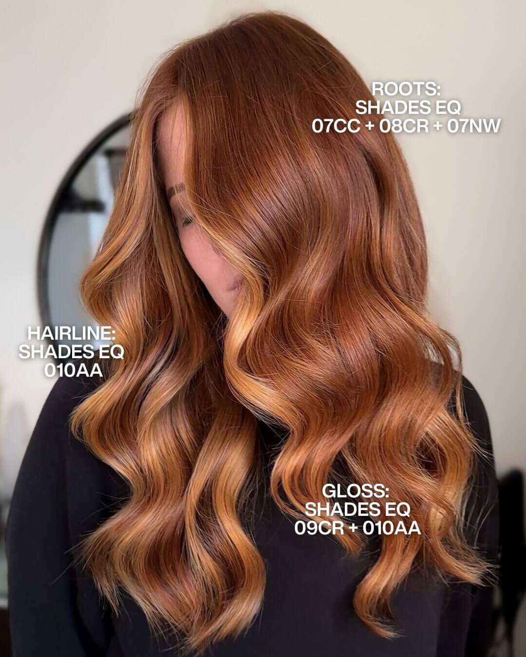 Redken Recipe 131 Roblevi With Formula