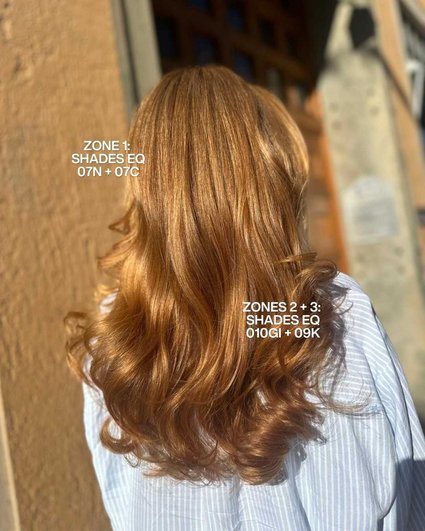 Redken Recipe 2026 May boudisabeh 2 With Formula