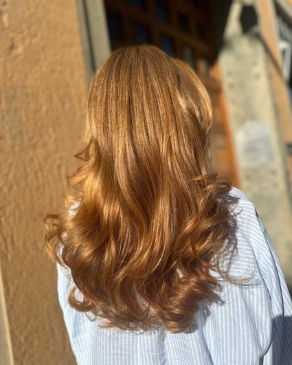 Redken Recipe 2026 May boudisabeh 2 Without Formula