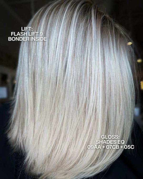 Redken Recipe 3 Denisesuzanne With Formula