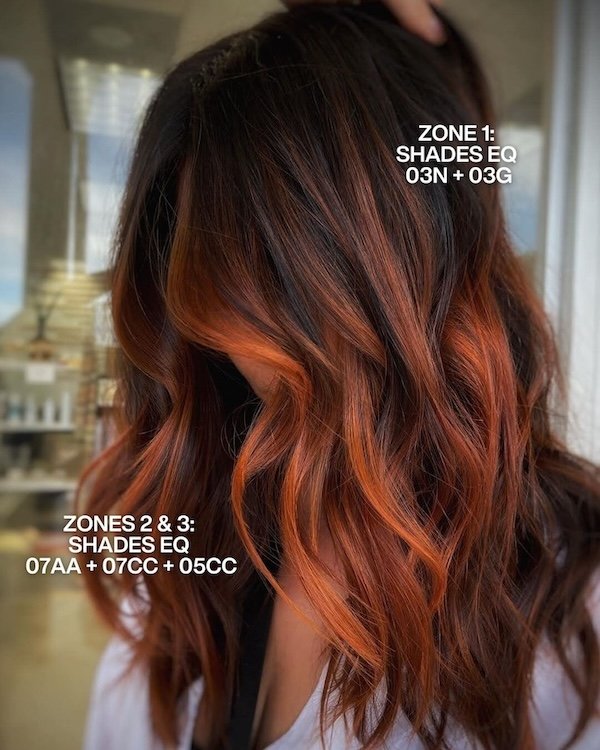 Redken Recipe 17 Balayagebylex With Formula