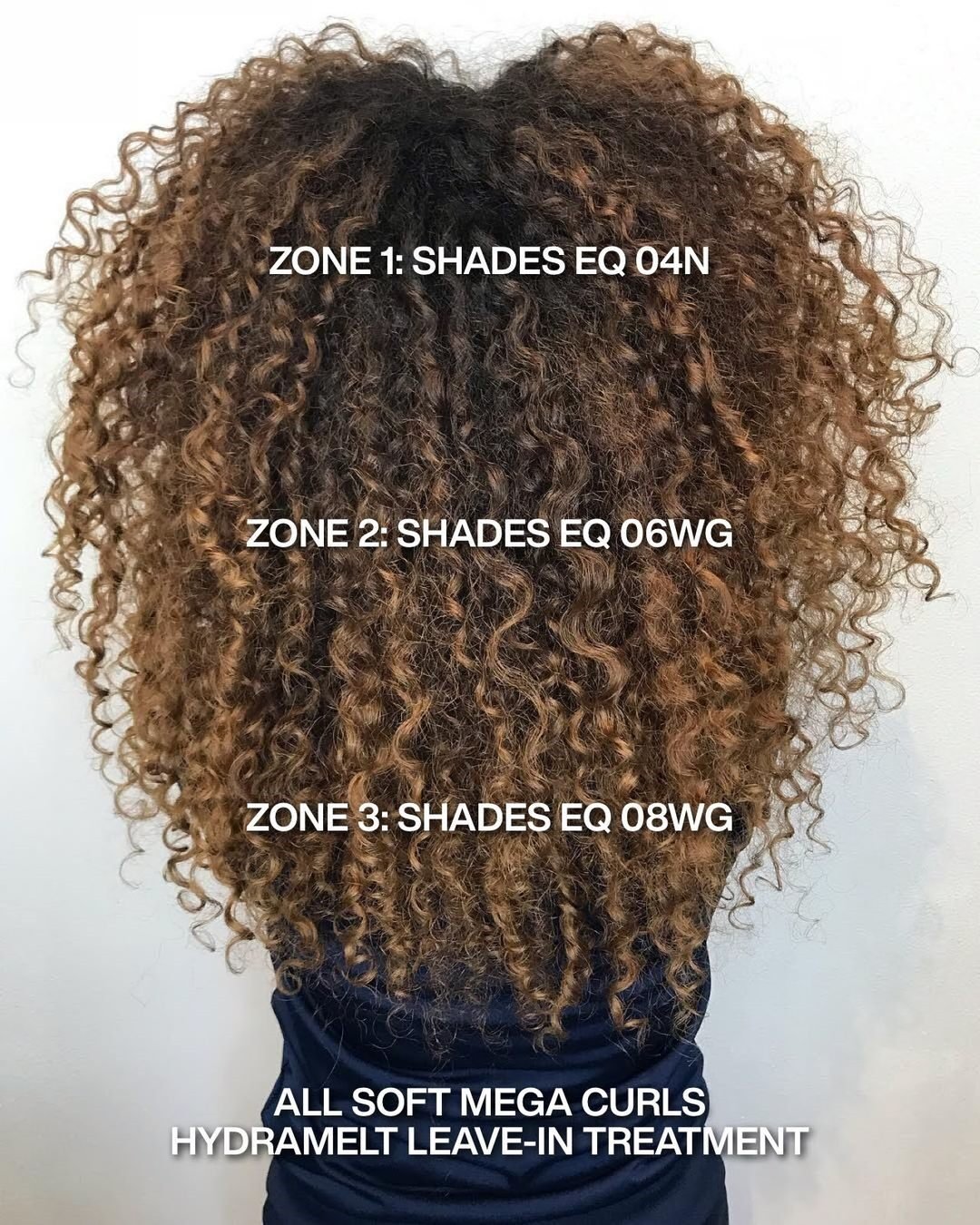 Redken Recipe 10 14 23 Radically Curly With