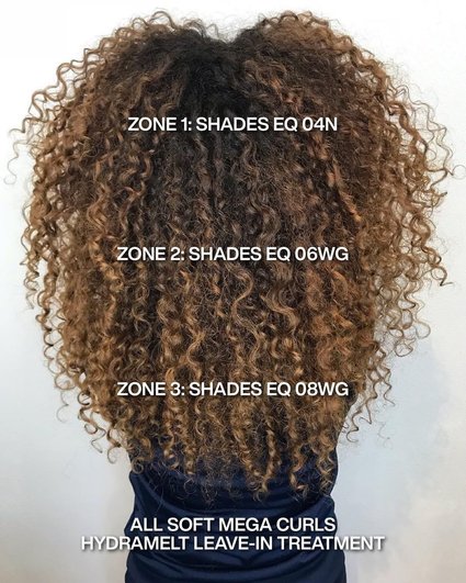 Redken Recipe 10 14 23 Radically Curly With