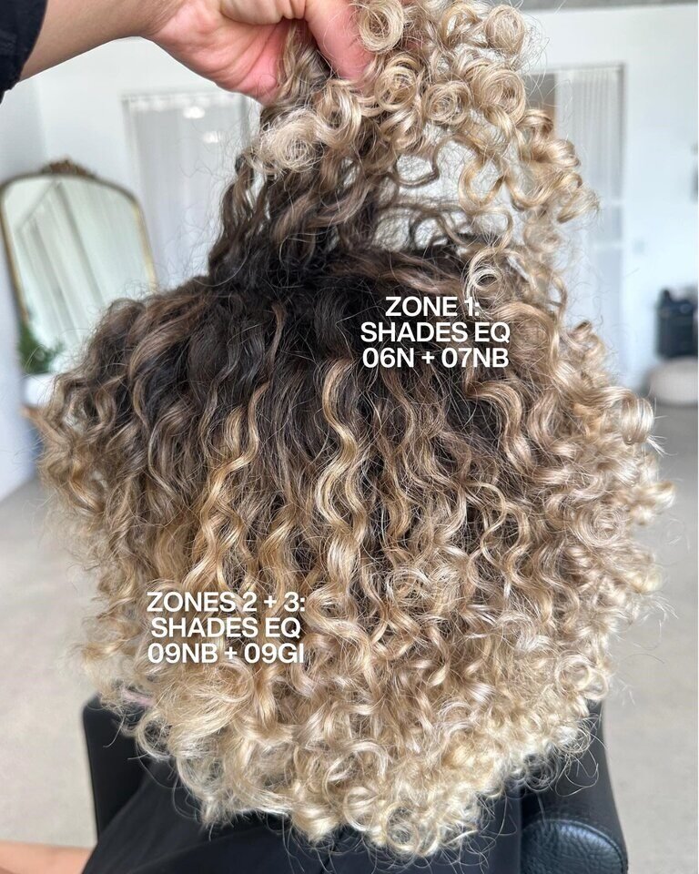 Redken Recipe 11 12 23 Bee Blondor With