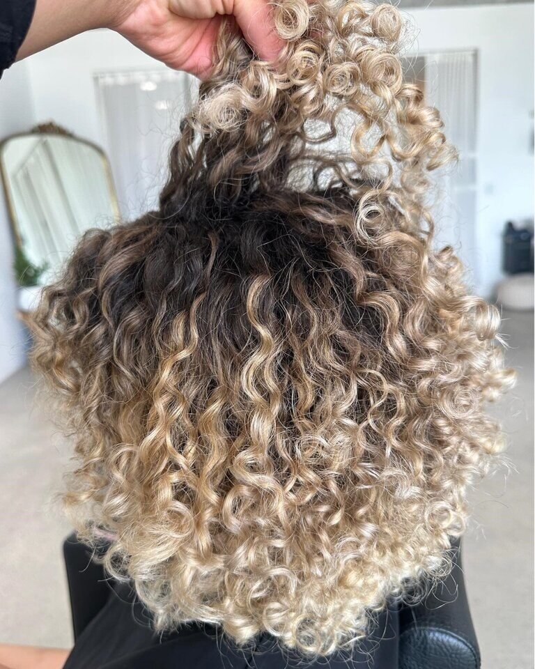 Redken Recipe 11 12 23 Bee Blondor Without