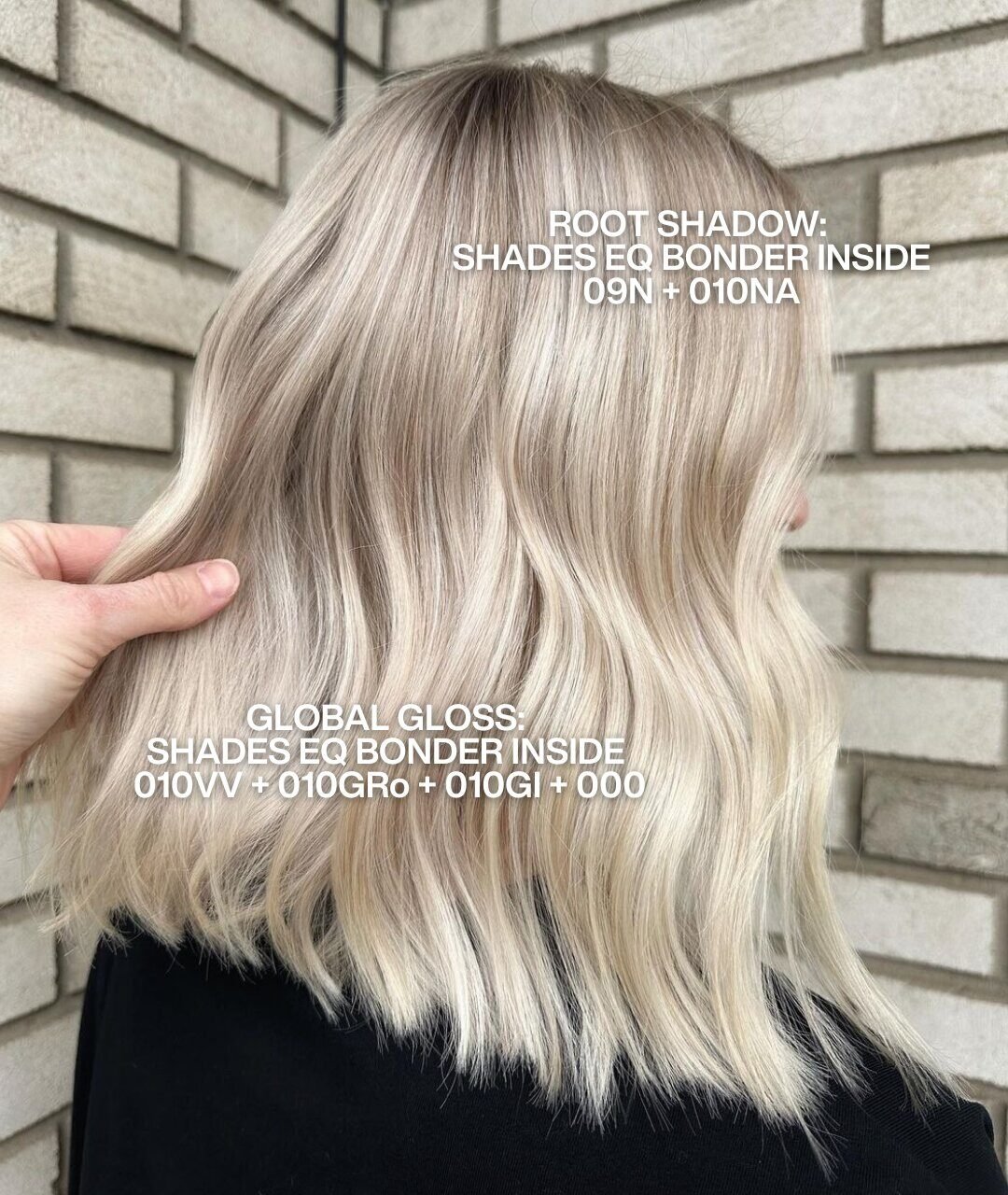 Redken Recipe 4 2 23 Ashy Tones With