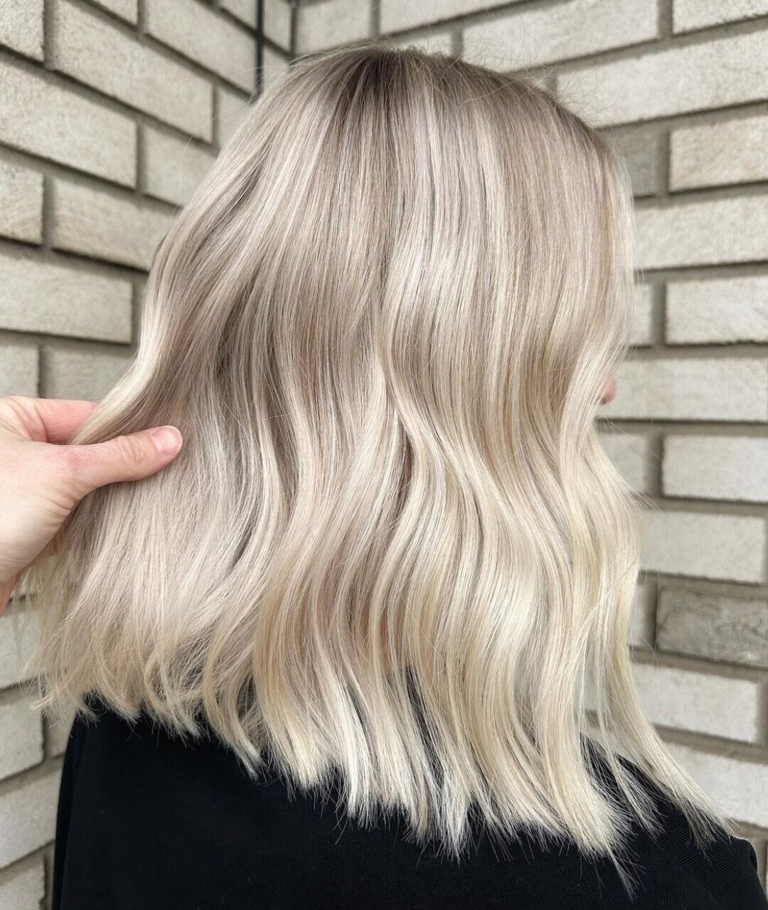 Redken Recipe 4 2 23 Ashy Tones Without