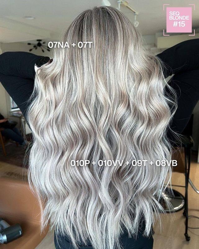 Redken Recipe 6 27 24 Cara Robertson With