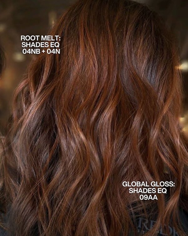 Redken Recipe 2 Denisesuzanne With Formula