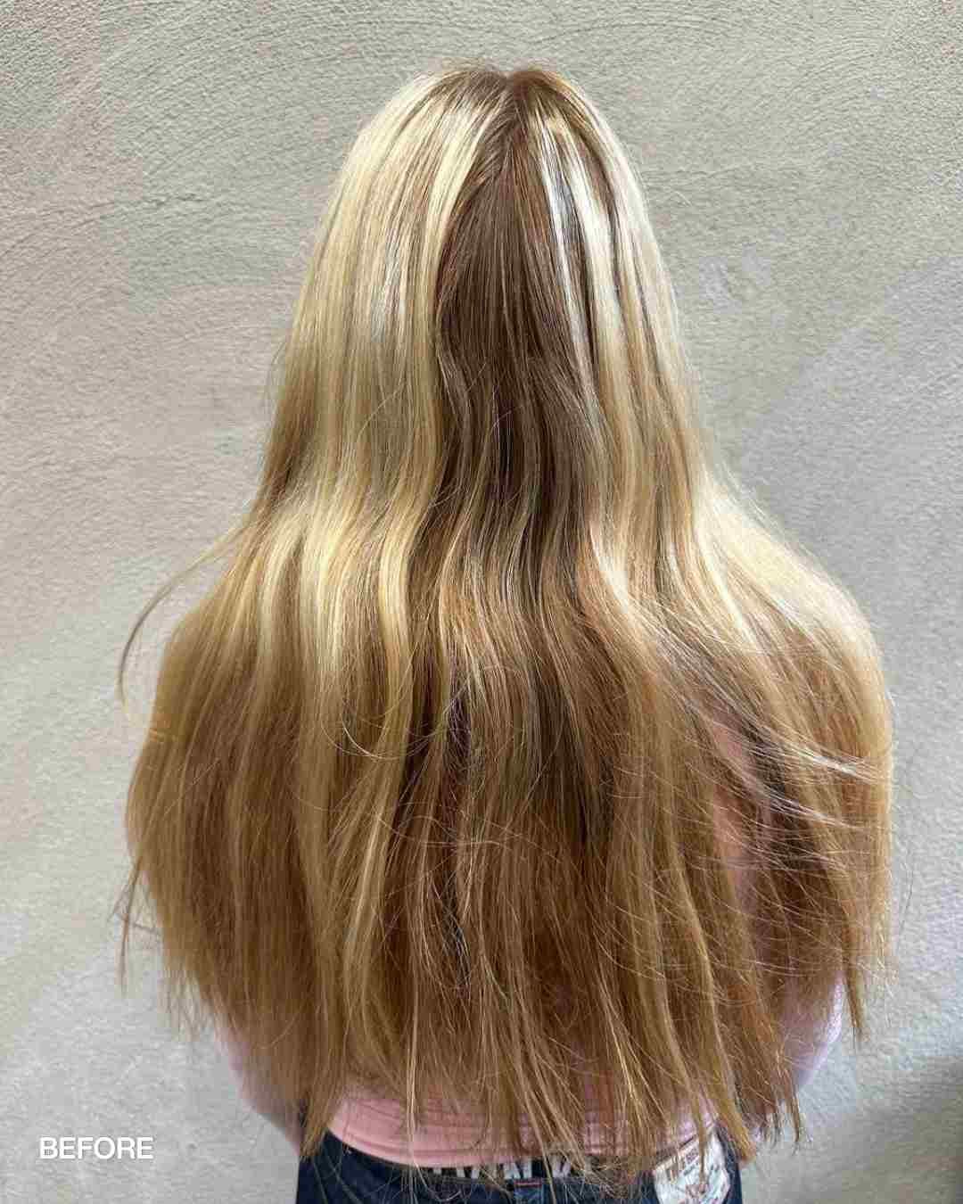 Redken Recipe 2026 May boudisabeh 1 Before