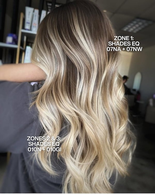 Redken Recipe 15 Balayagebylex With Formula