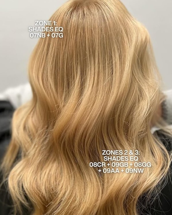 Redken Recipe 21 Beauty by jenna777 With Formula