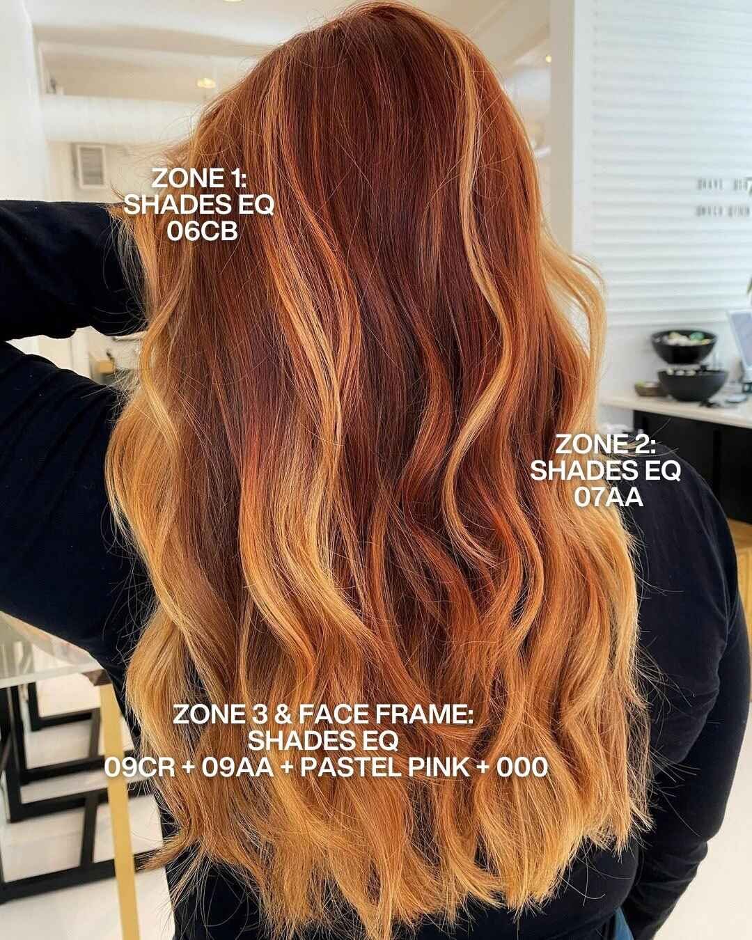 Redken Recipe 118 Thestrawberryblonder With Formula