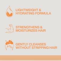 Redken Brews Daily Shampoo