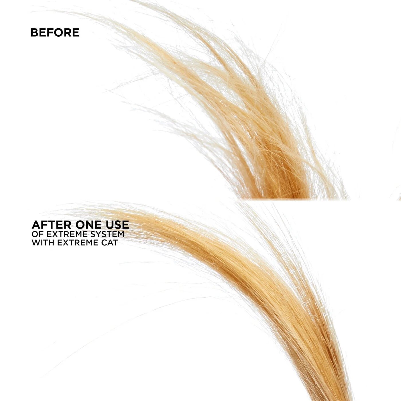 Redken Extreme CAT Before After 2