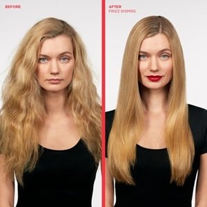 Redken Frizz Dismiss Before After 1.jpg