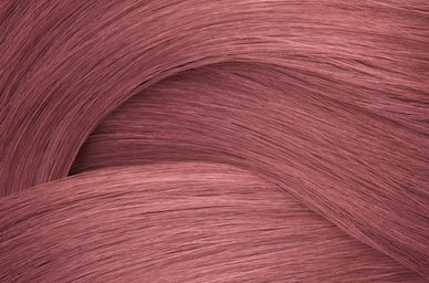 Mauve Rose
