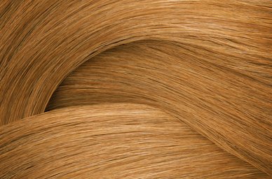 Chesnut