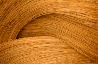 Golden Apricot