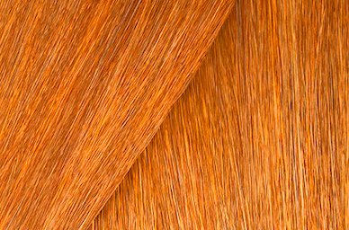 Copper Copper