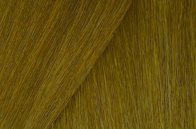 Ash Green