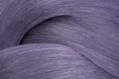 Fresh Lavender