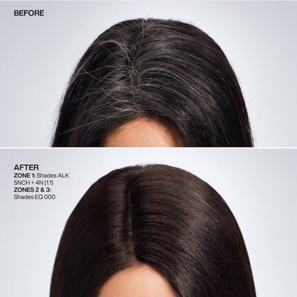2025 Redken Shades ALK BA BTF 1