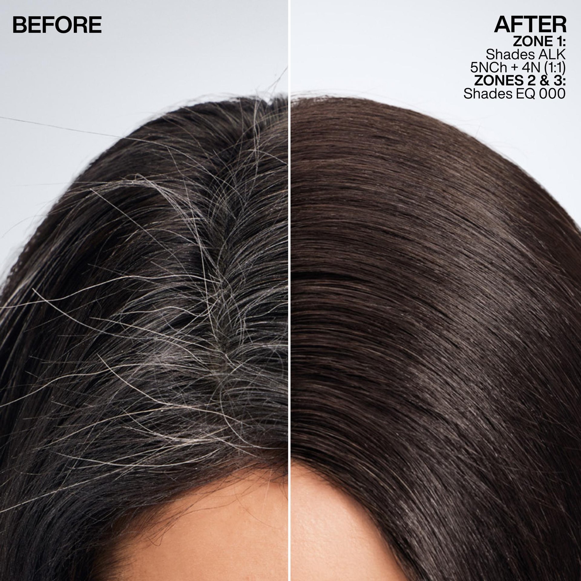 Redken 2025 ShadesALK ATF Before And After Blend