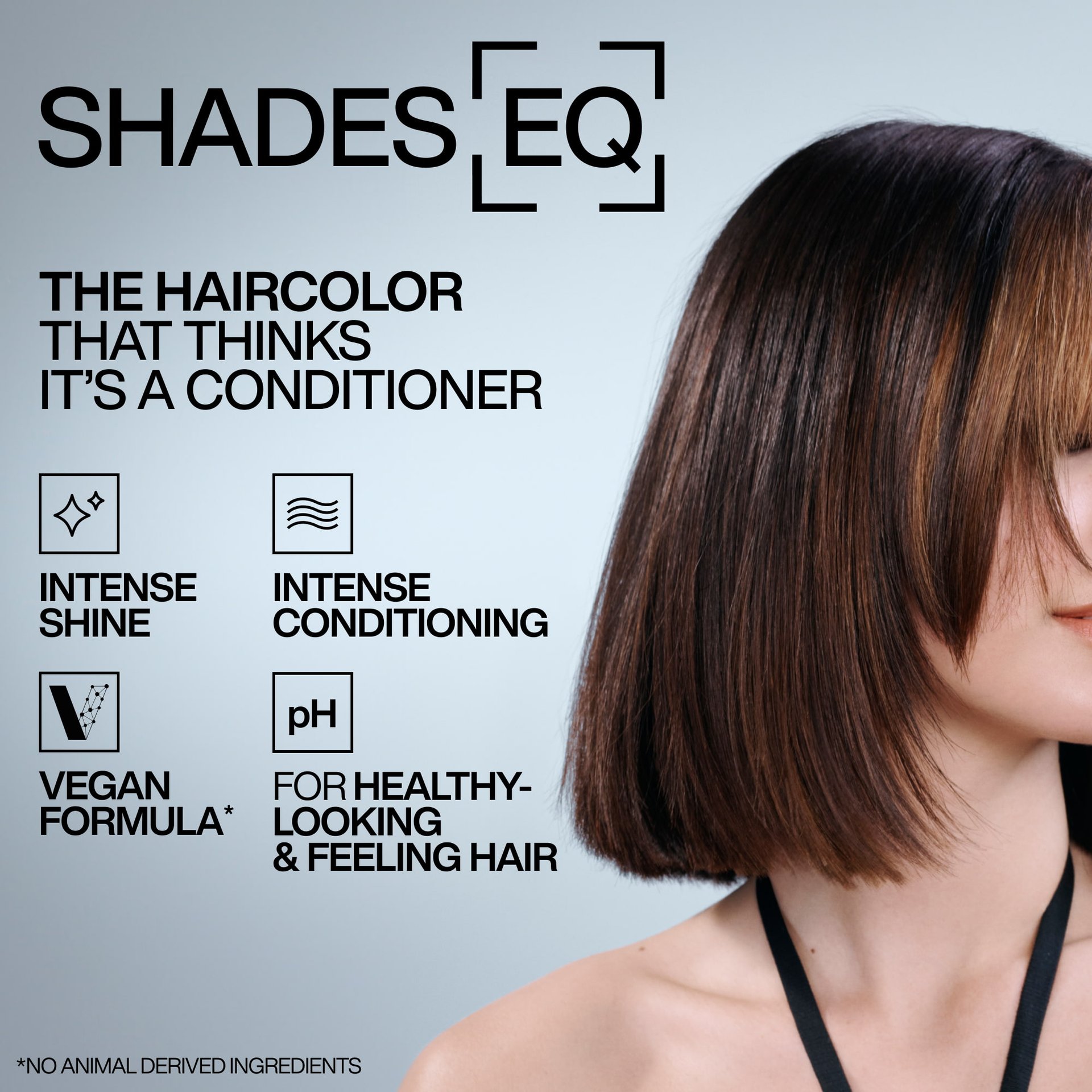 Redken 2024 Gloss Kit Digital Consumer Top Claims