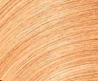 SEQ_Gloss_Pastels_Peach