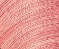 SEQ_Gloss_Pastels_Pink