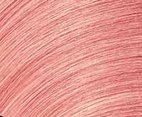 SEQ_Gloss_Pastels_Pink