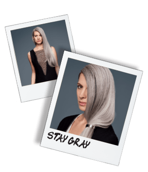 SilverAddiction_StayGray