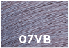 SEQ2007VB